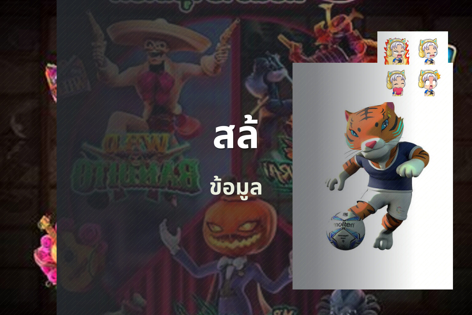 สล้ ข้อมูล