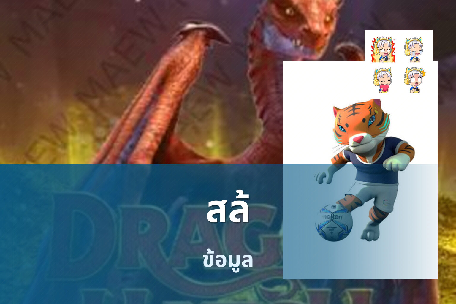 สล้ ข้อมูล