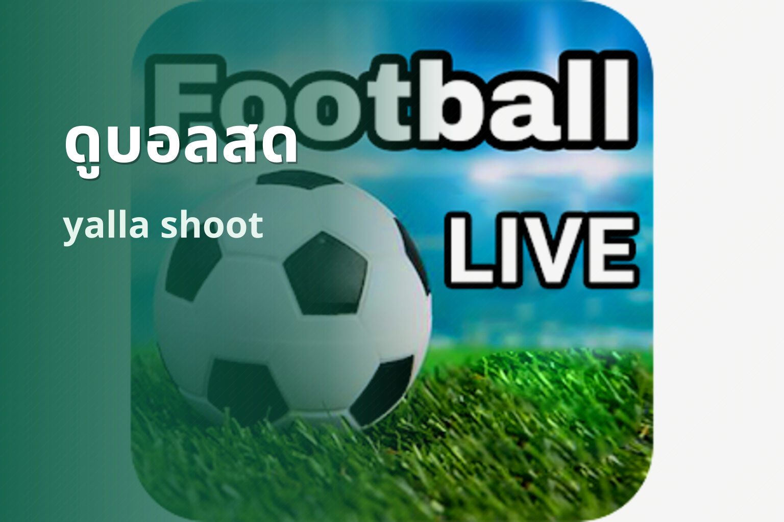 ดูบอลสด - live sports streaming