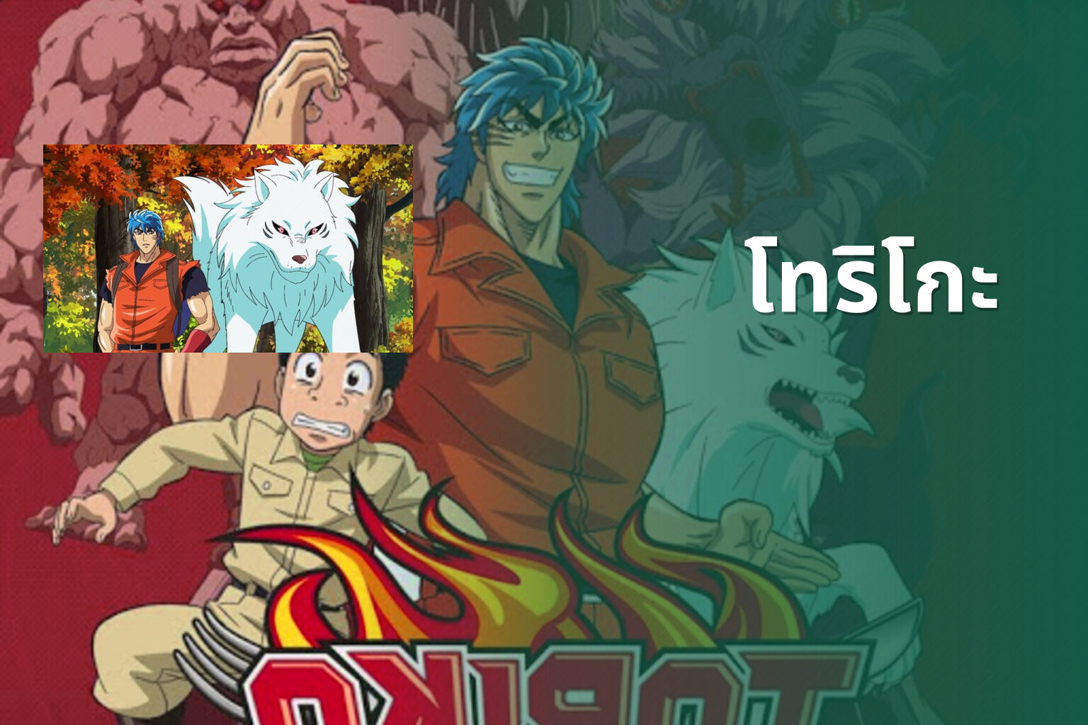 โทริโกะ - anime series