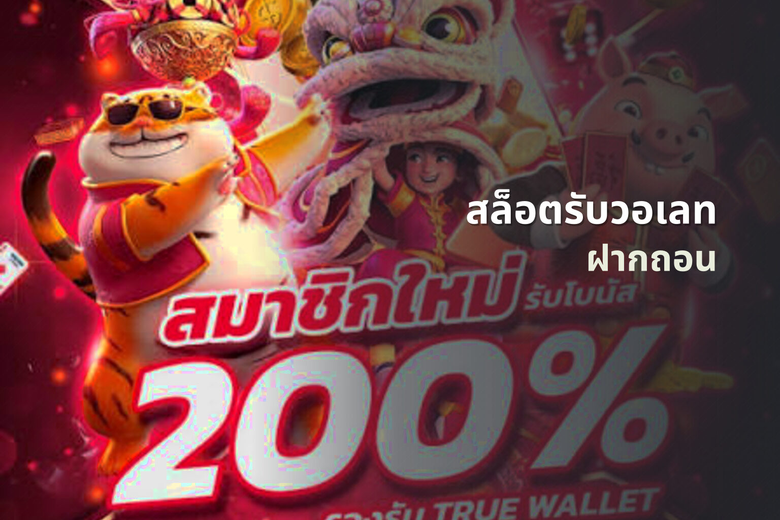 สล็อตรับวอเลท ฝากถอน