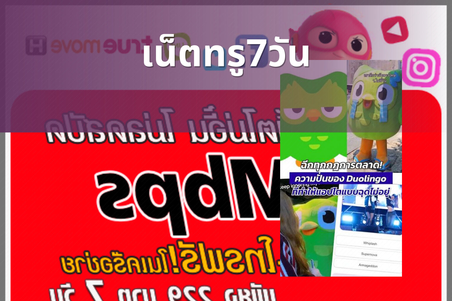 เน็ตทรู7วัน - internet service
