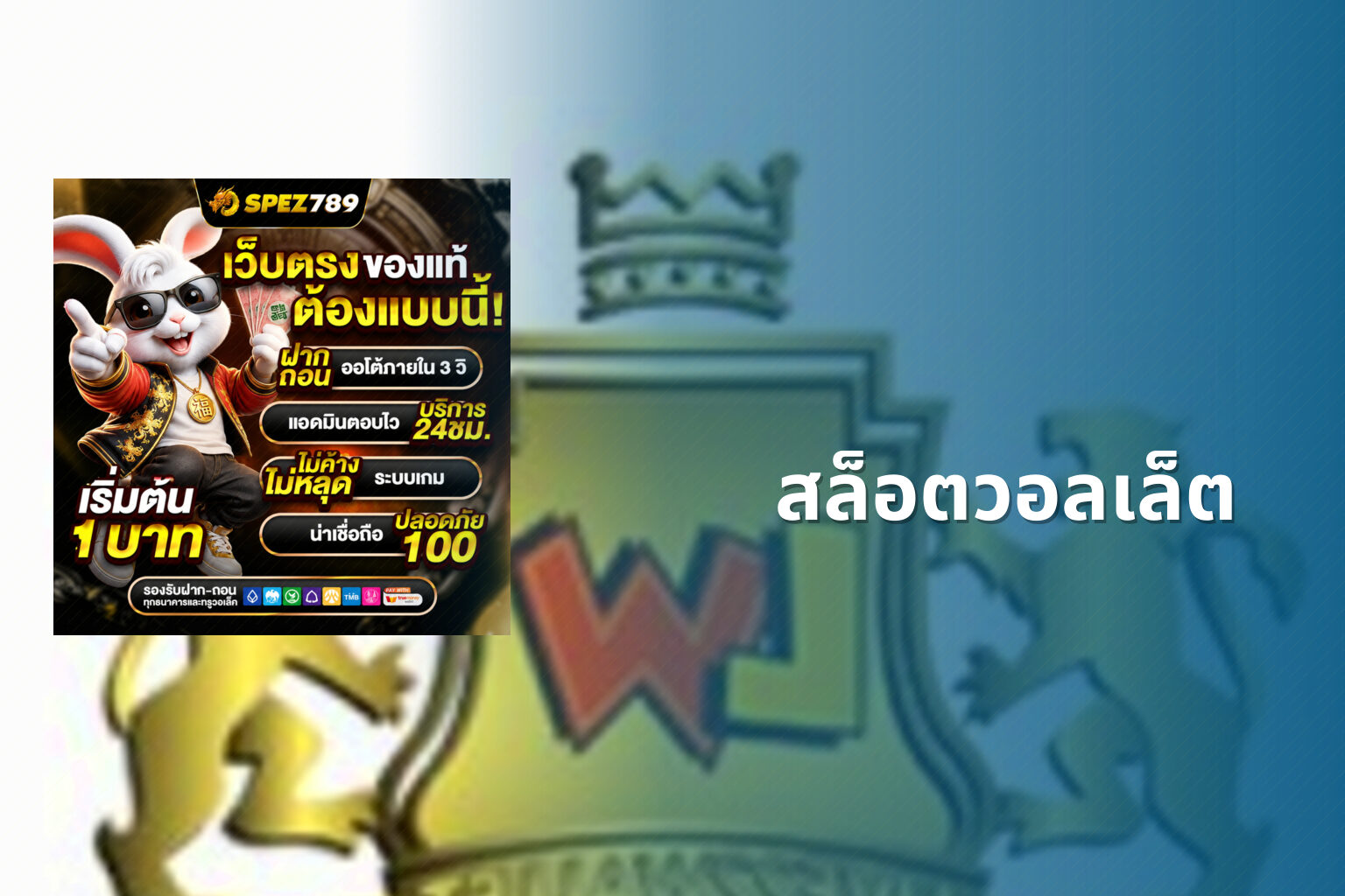 สล็อตวอลเล็ต - wallet slots