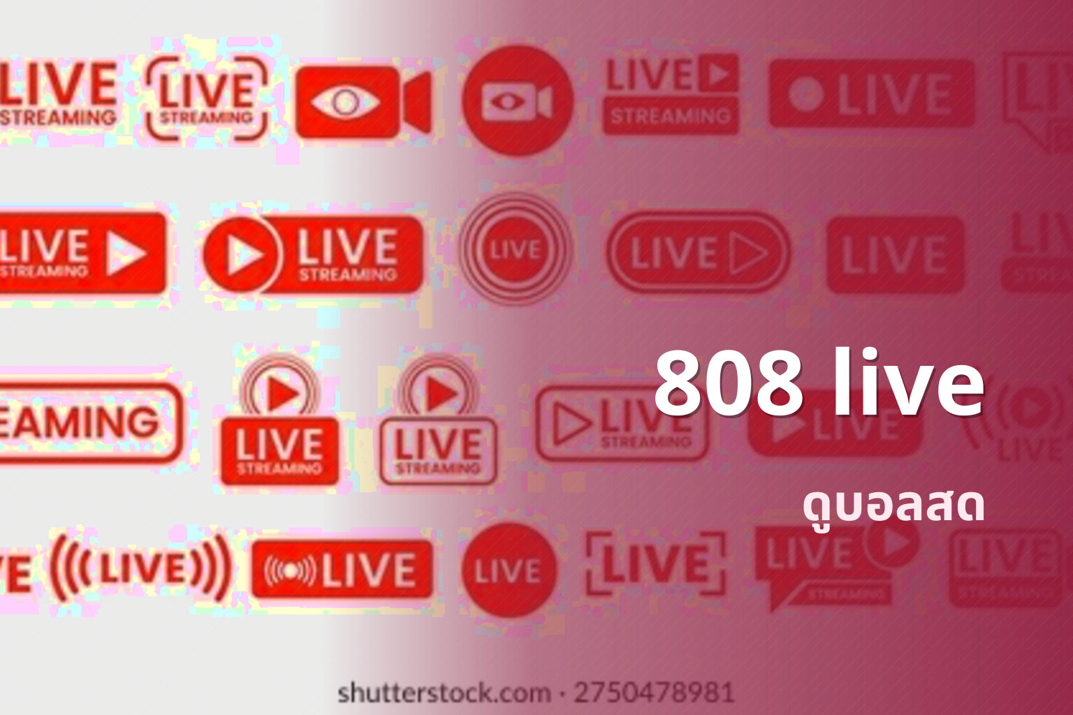 808 live - live streaming service