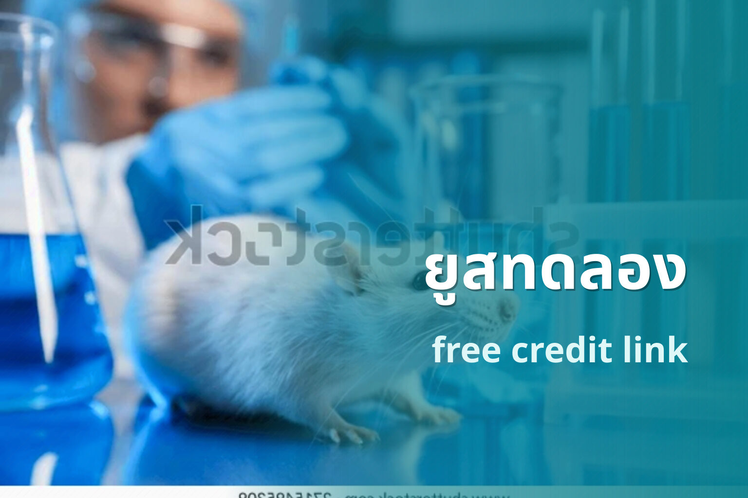 ยูสทดลอง free credit link