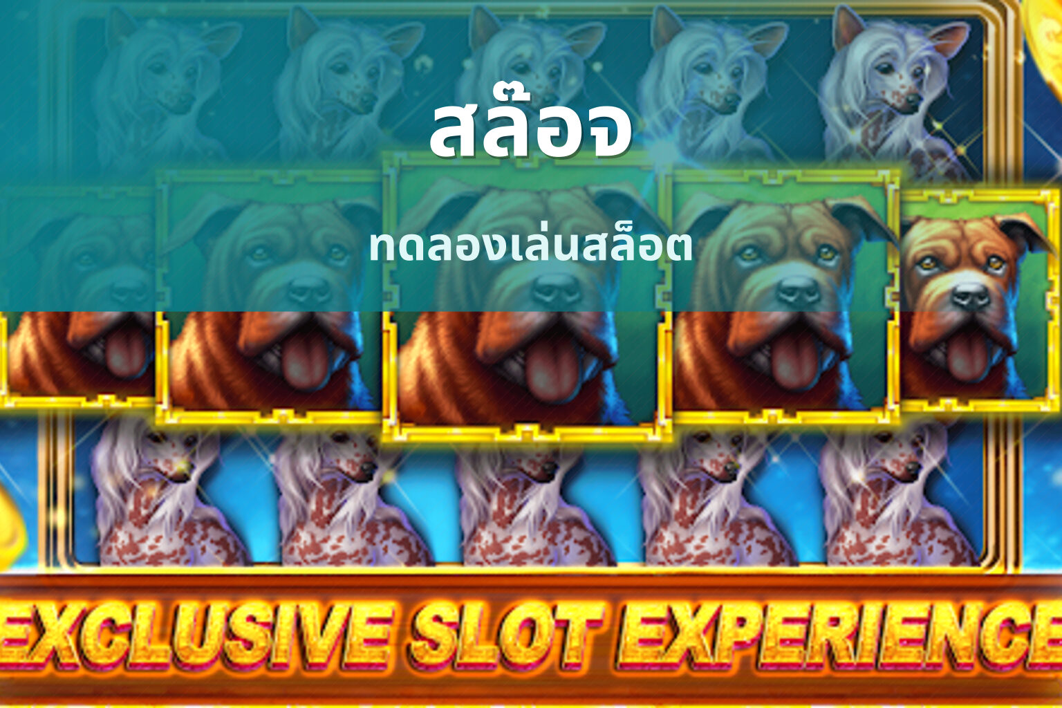 สล๊อจ - online slot games