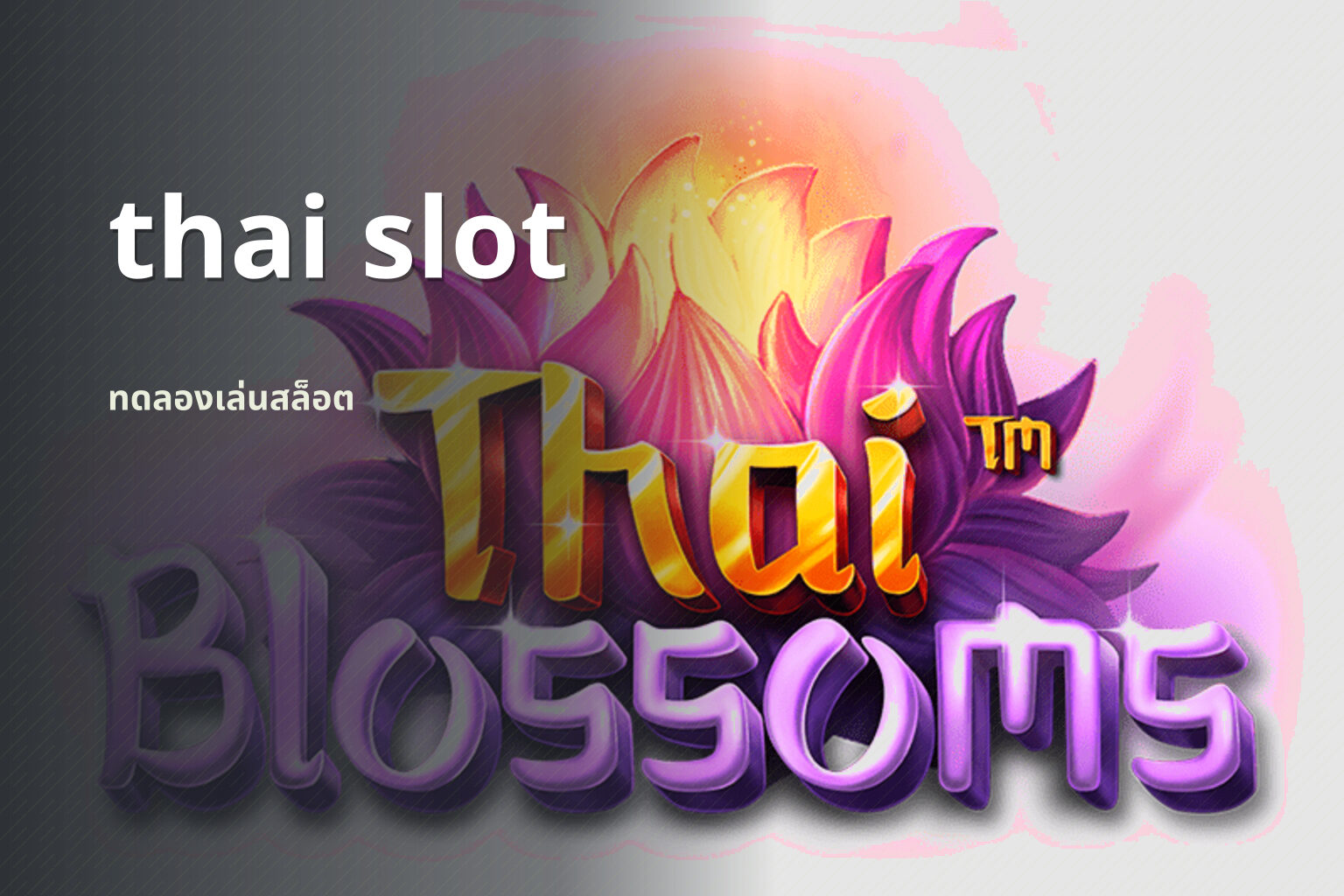 thai slot - slot games