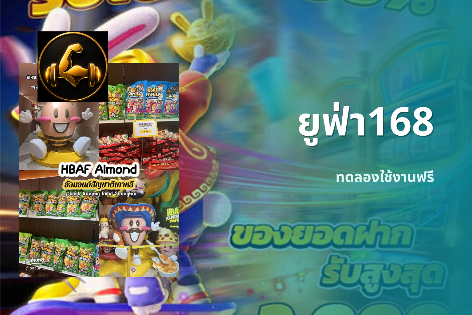 ยูฟ่า168 ทดลองใช้งานฟรี
