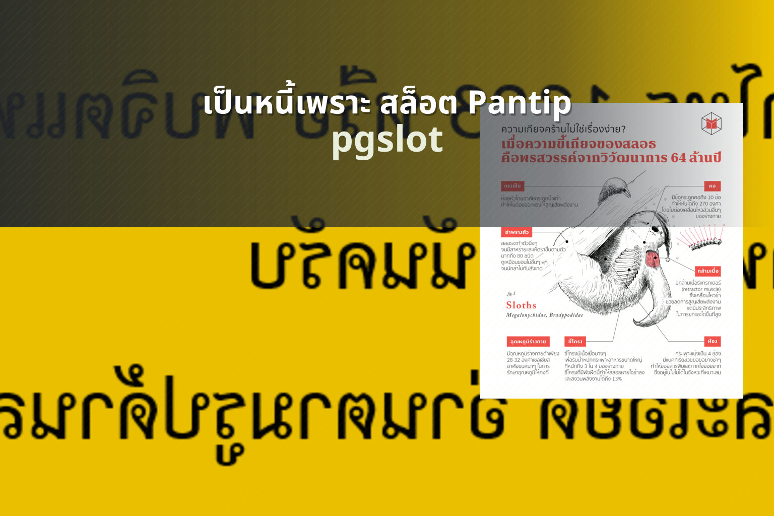 เป็นหนี้เพราะ สล็อต Pantip - gambling discussions