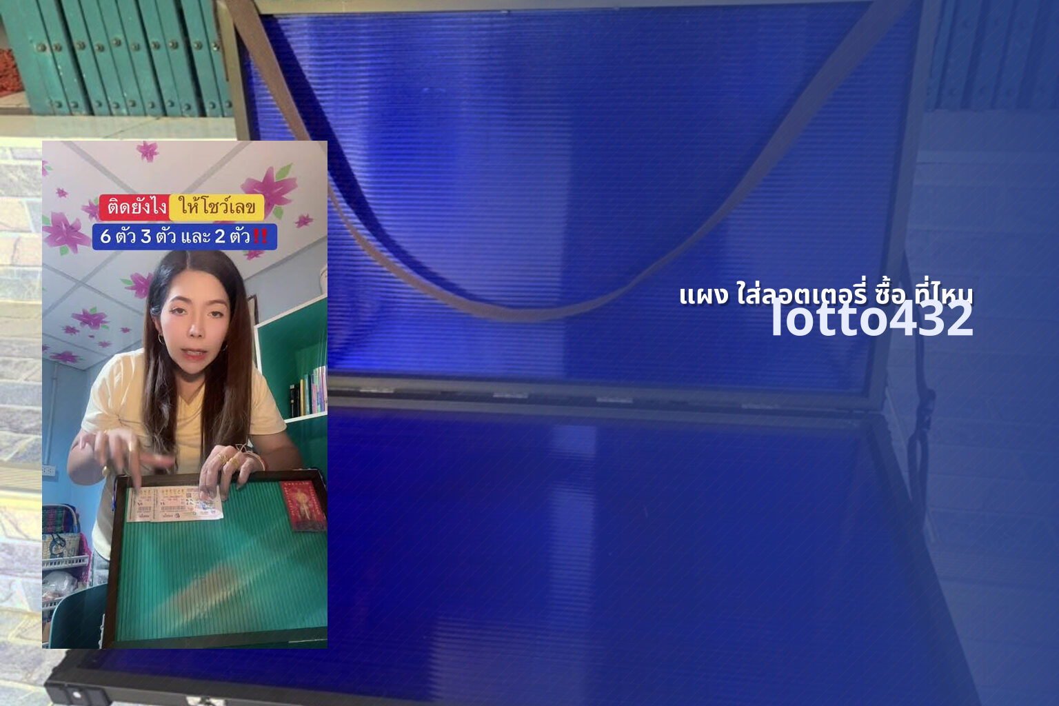 แผง ใส่ลอตเตอรี่ ซื้อ ที่ไหน - Where to buy lottery holders