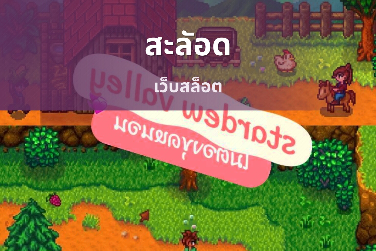 สะลัอด เว็บสล็อต