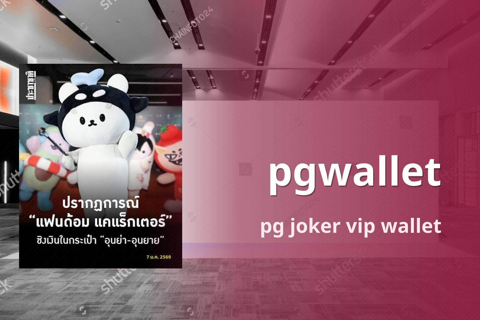 pgwallet pg joker vip wallet