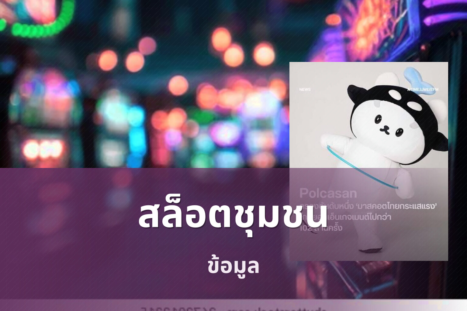 สล็อตชุมชน ข้อมูล