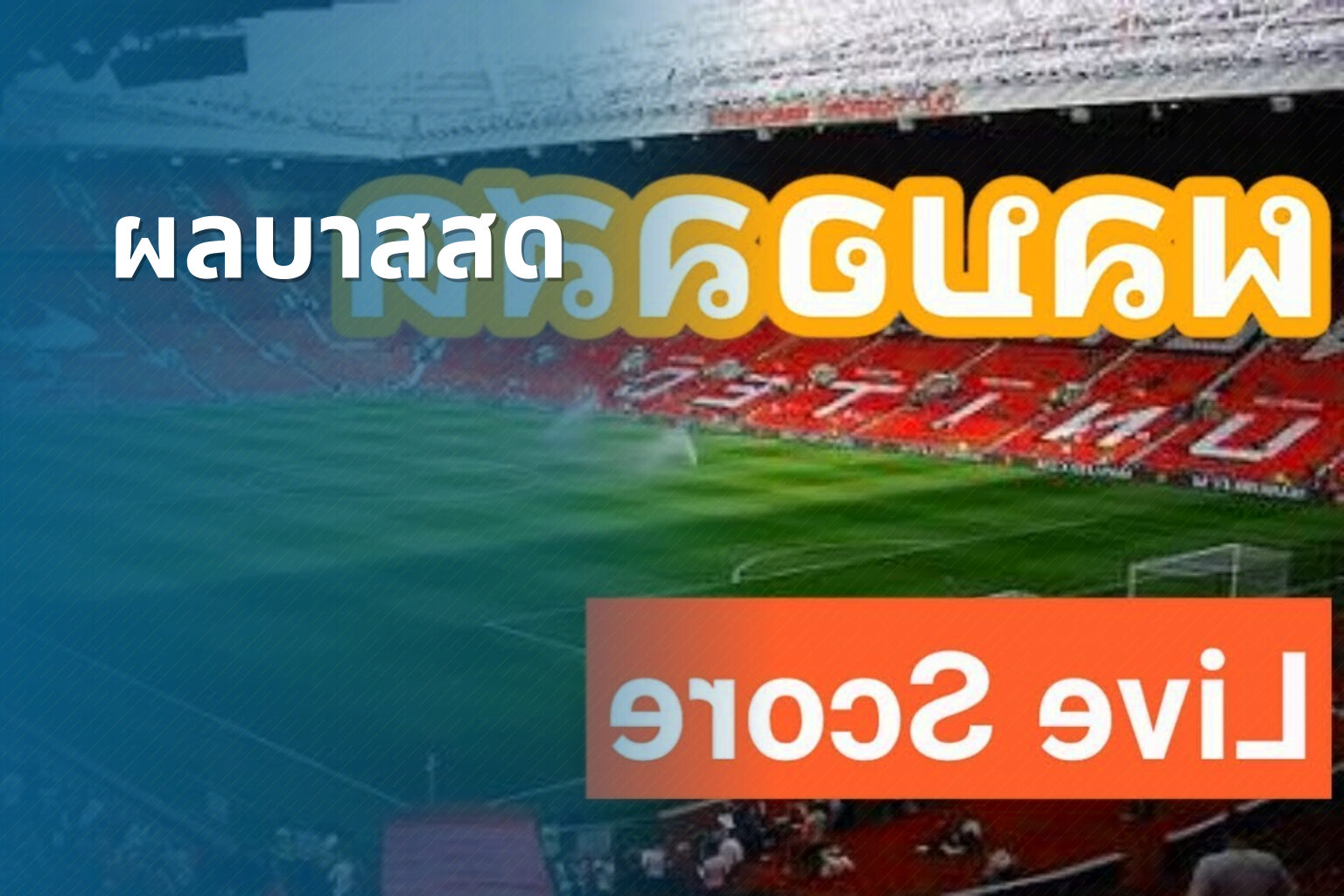 ผลบาสสด - live sports scores