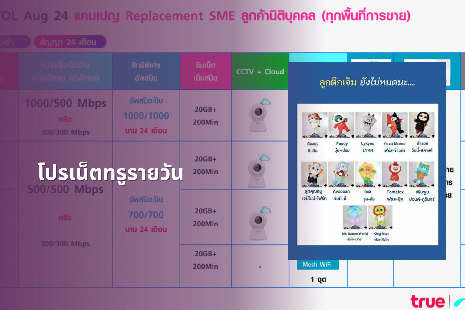 โปรเน็ตทรูรายวัน - internet services