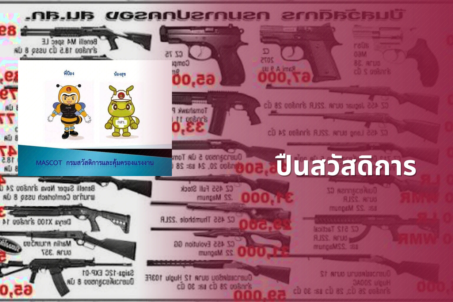 ปืนสวัสดิการ - government benefits